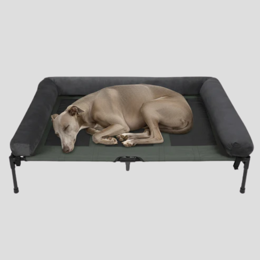 Comfortable Elevated Dog Bed Large Breed