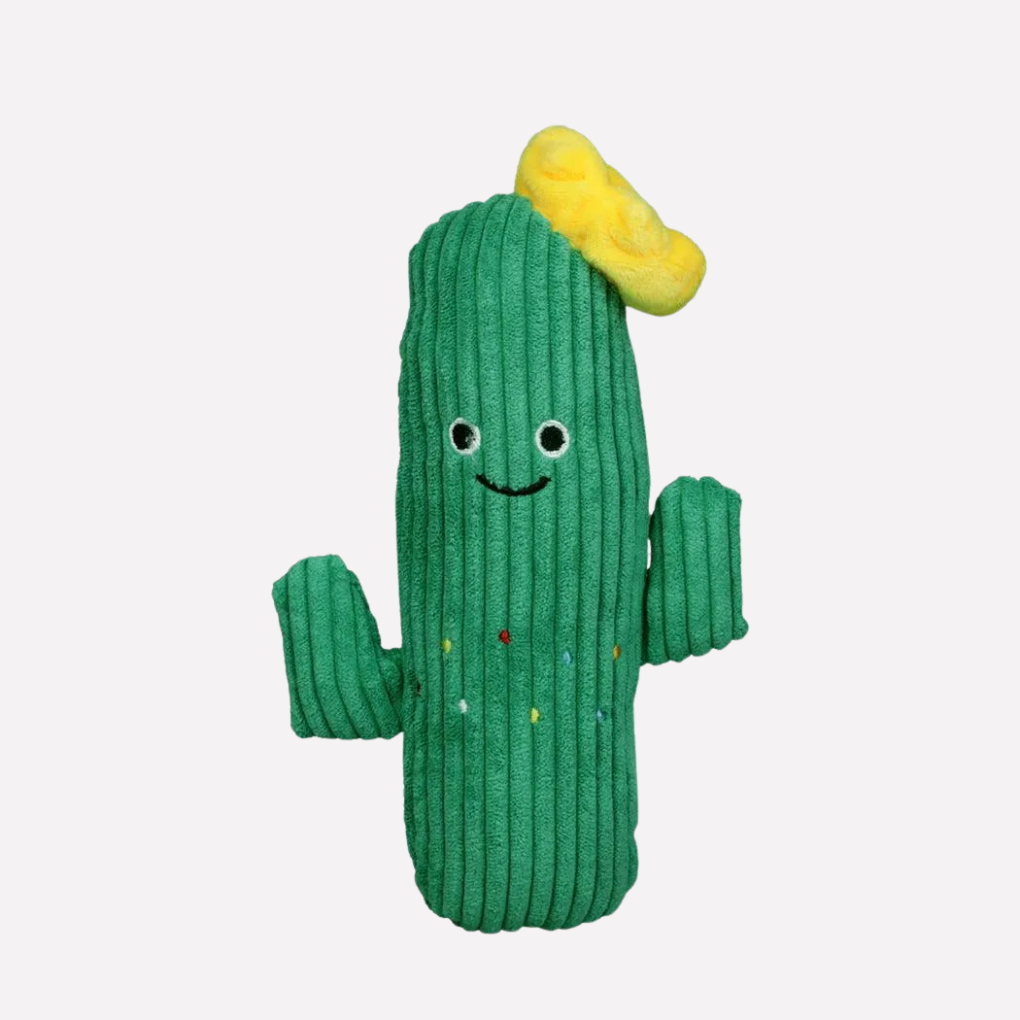Fun Plush Cactus Pet Toy