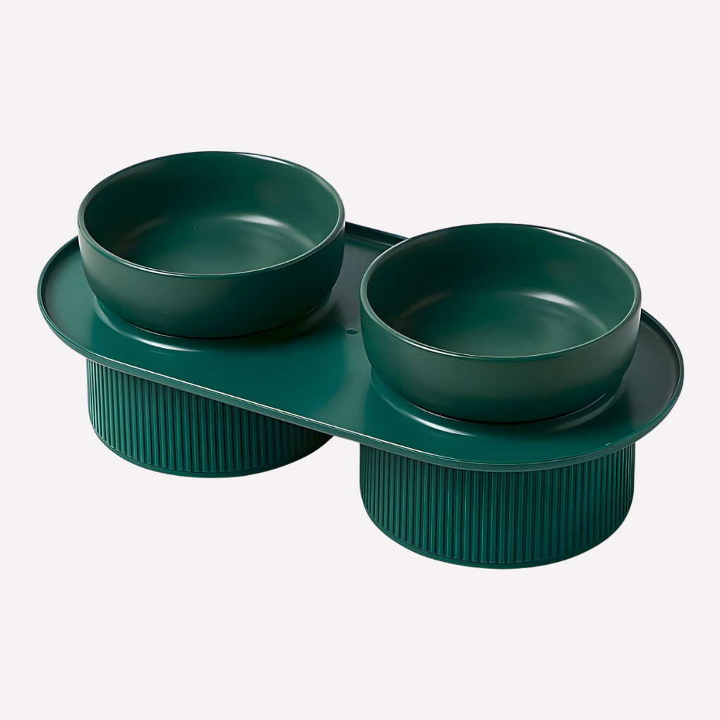 Premium Raised Pet Food Bowl
