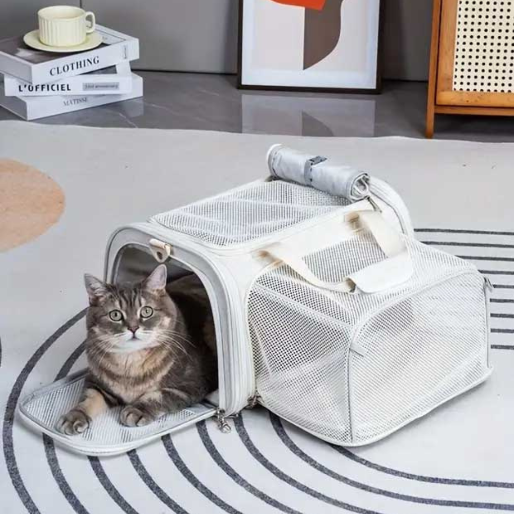 Collapsible Pet Travel Carrier Bag