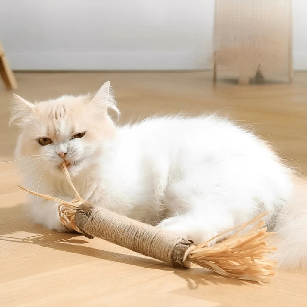 Healthy Dental Chew Sticks for Cats