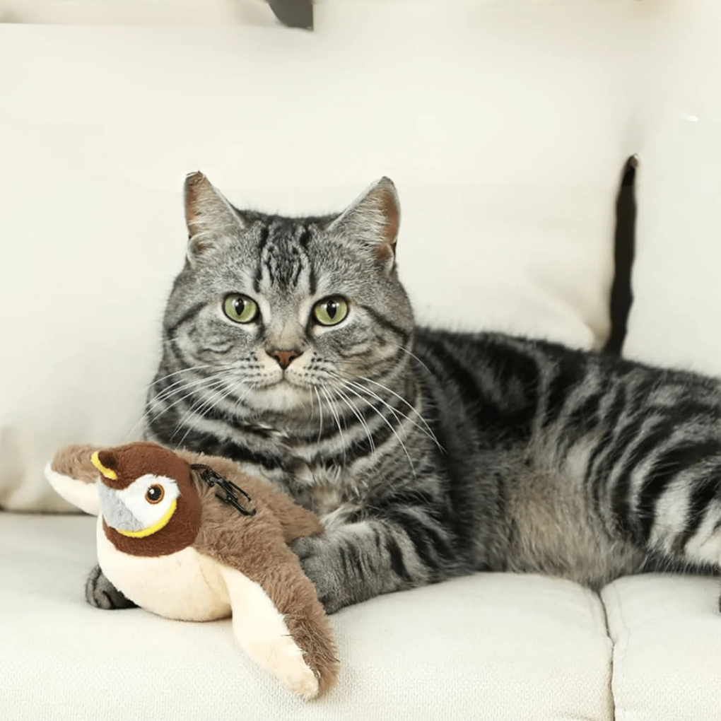 Fun Feather Teaser Toy