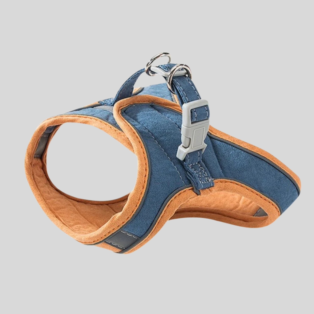 Pet Kitten Walking Harness Set