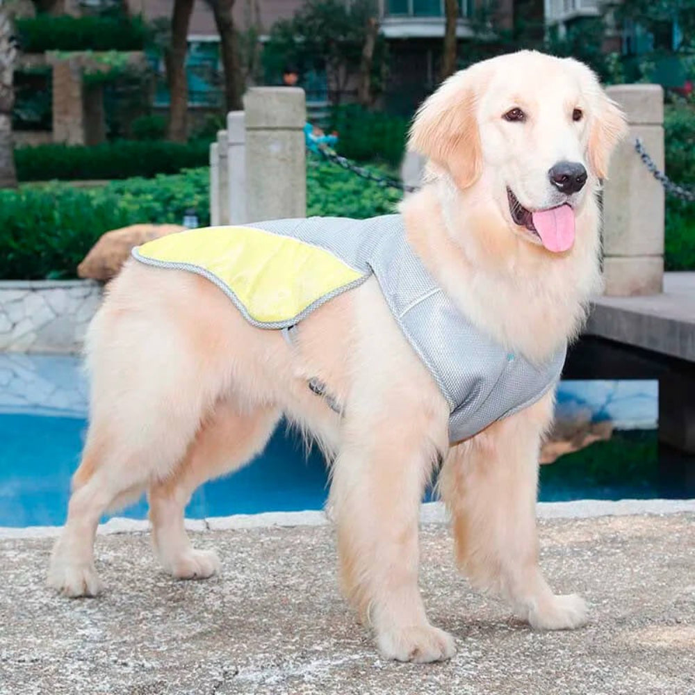 Breathable Dog Cooling Vest - Summer Heat Relief