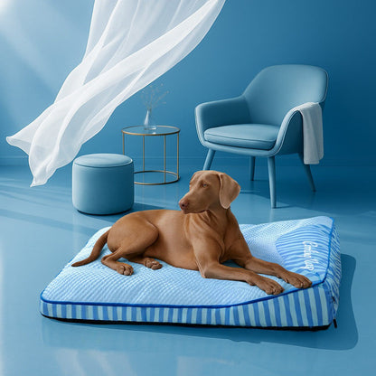Large Comfortable Pet Bed - Breathable & Durable