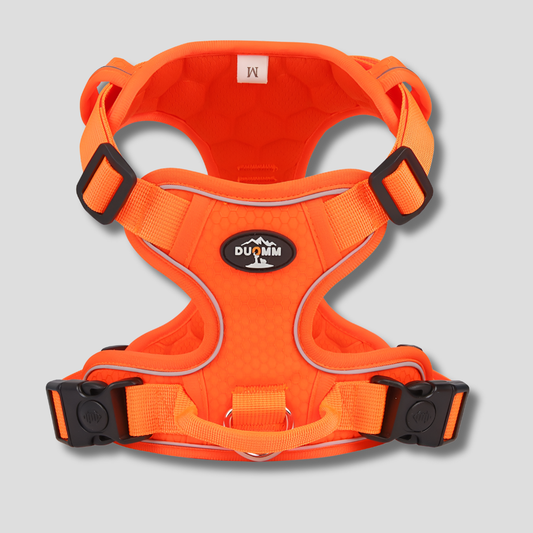 Visible Adjustable Pet Dog Vest