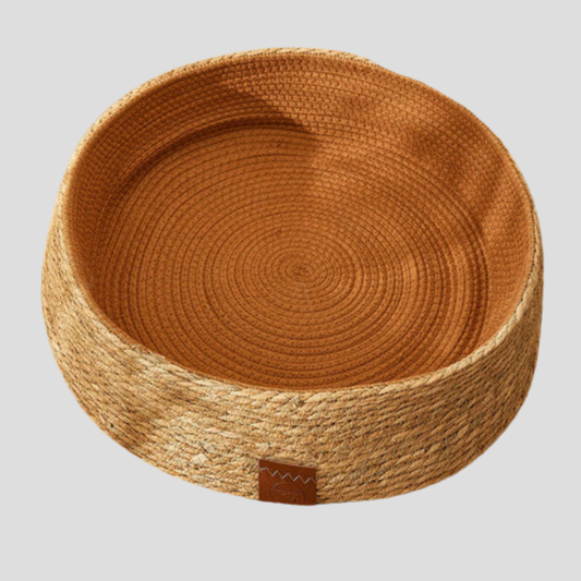 Comfy Kitty Scratcher Bed