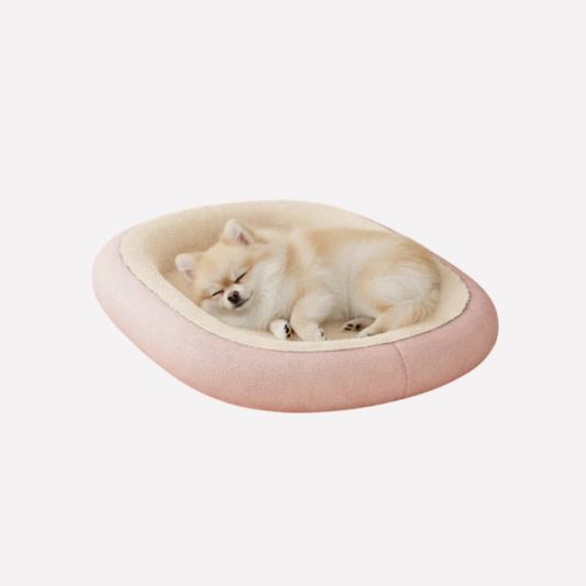 Plush Orthopedic Dog Mattress