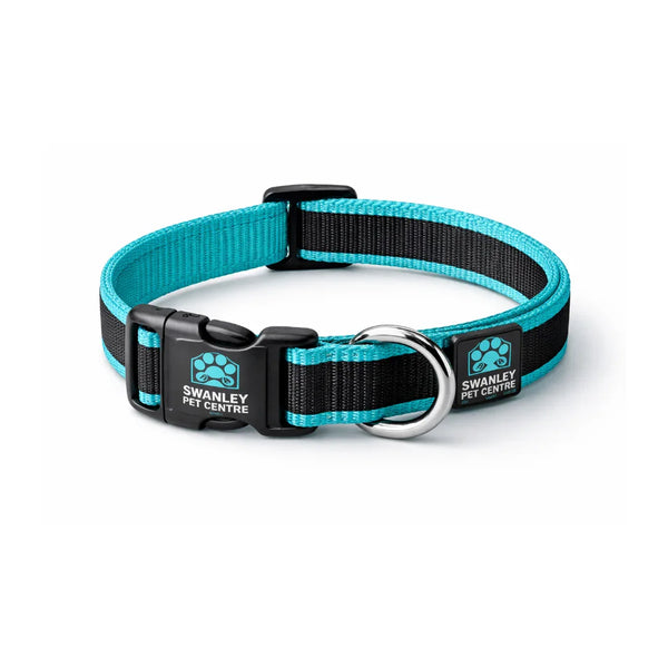 Swanley Pet Centre Adjustable Dog Collar - Aqua Blue - Small (20-30cm)
