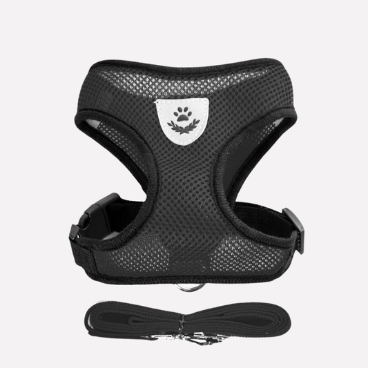 Comfortable Air Mesh Dog Harness Set