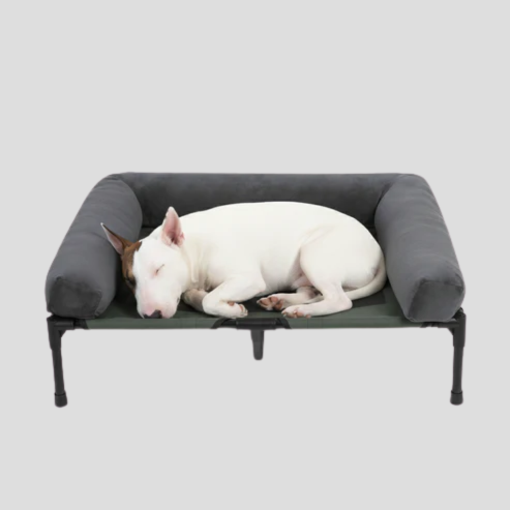 Comfortable Elevated Dog Bed Large Breed