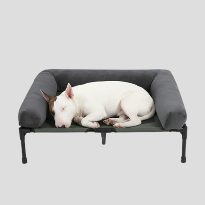 Comfortable Elevated Dog Bed Large Breed