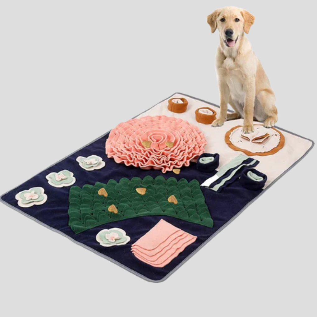Interactive Dog Feeding Mat for Slow Eating