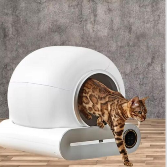 Automatic Odor-Control Cat Litter Box