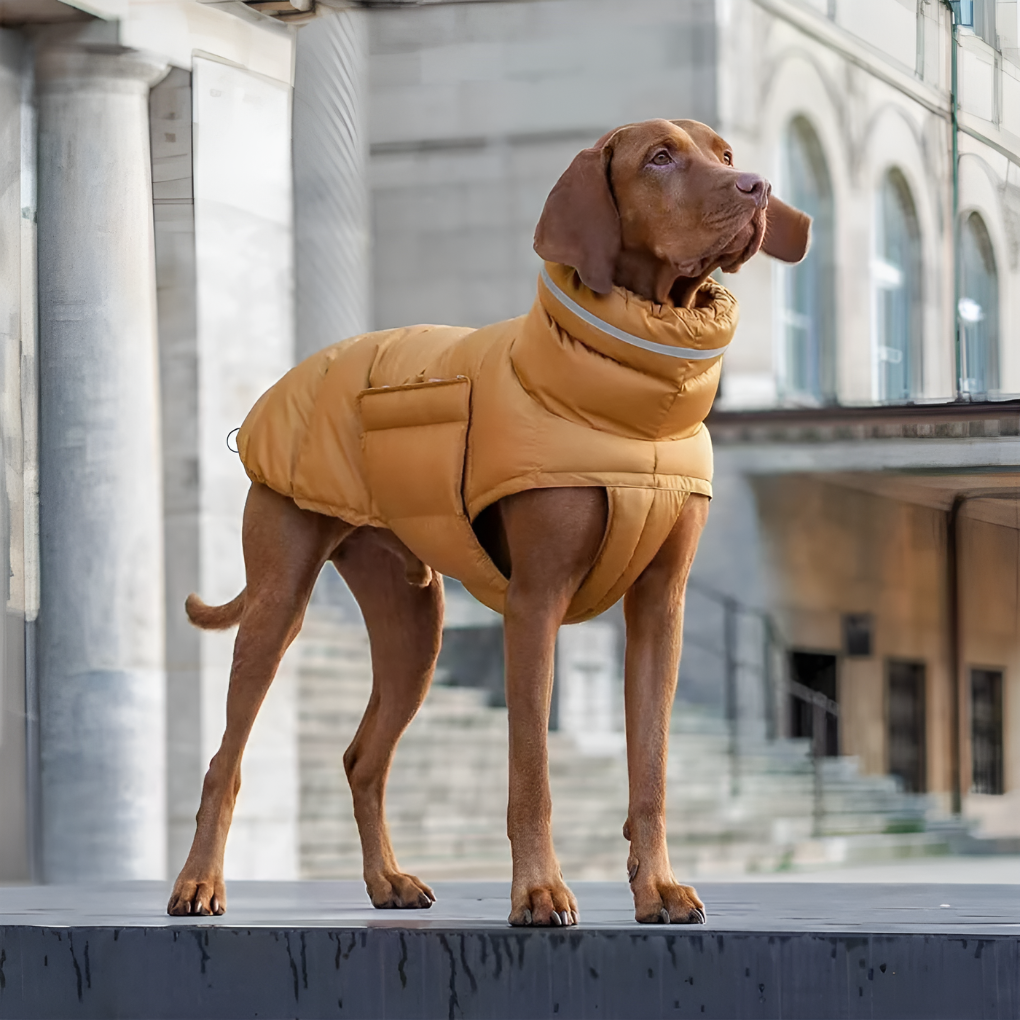 Waterproof Dog Vest for Cold Winter Days