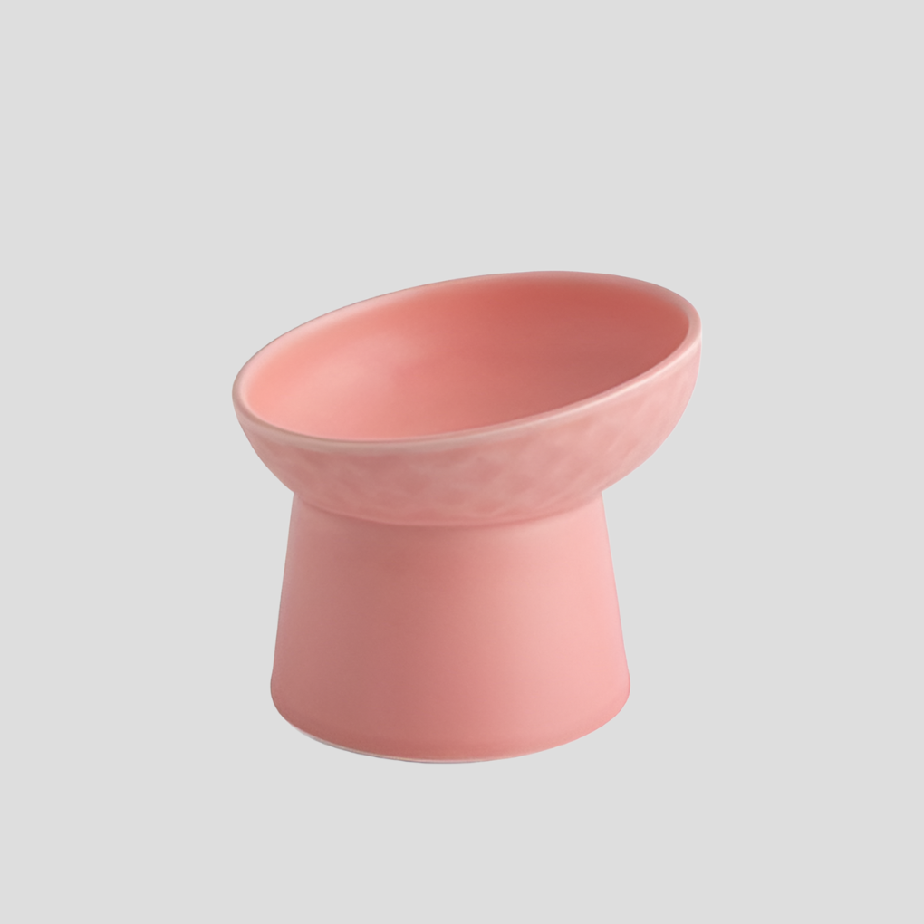 Modern Slanted Stoneware Pet Food Bowl