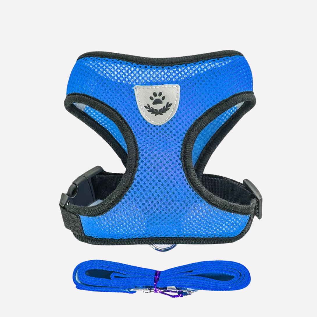 Comfortable Air Mesh Dog Harness Set