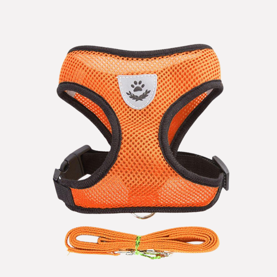 Comfortable Air Mesh Dog Harness Set
