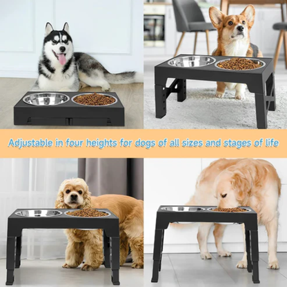 Non-Slip Tilt & Durable Stainless Steel Pet Bowls