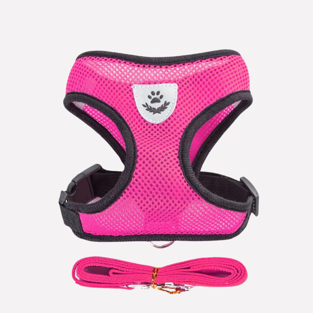 Comfortable Air Mesh Dog Harness Set