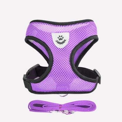 Comfortable Air Mesh Dog Harness Set