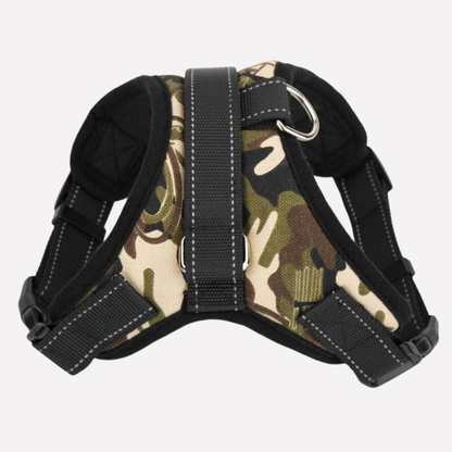 Pet Puppy Collar Leash Set