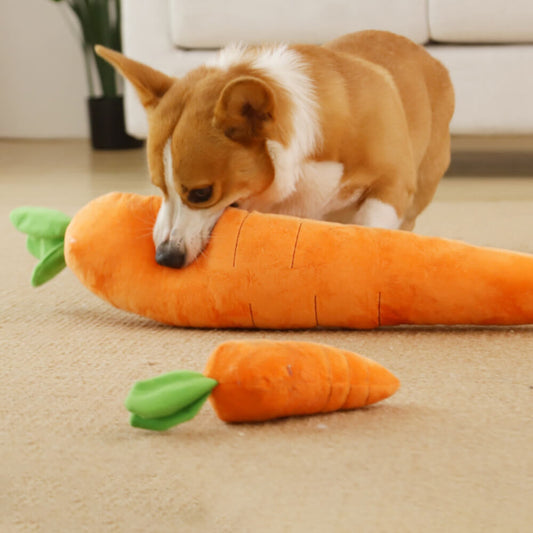Fun Orange Squeaky Dog Toy