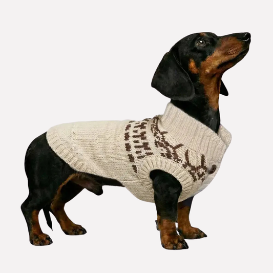 Colorful Dog Vest Sweater for Dachshund Breeds