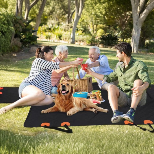 Pet Car Seat Protector