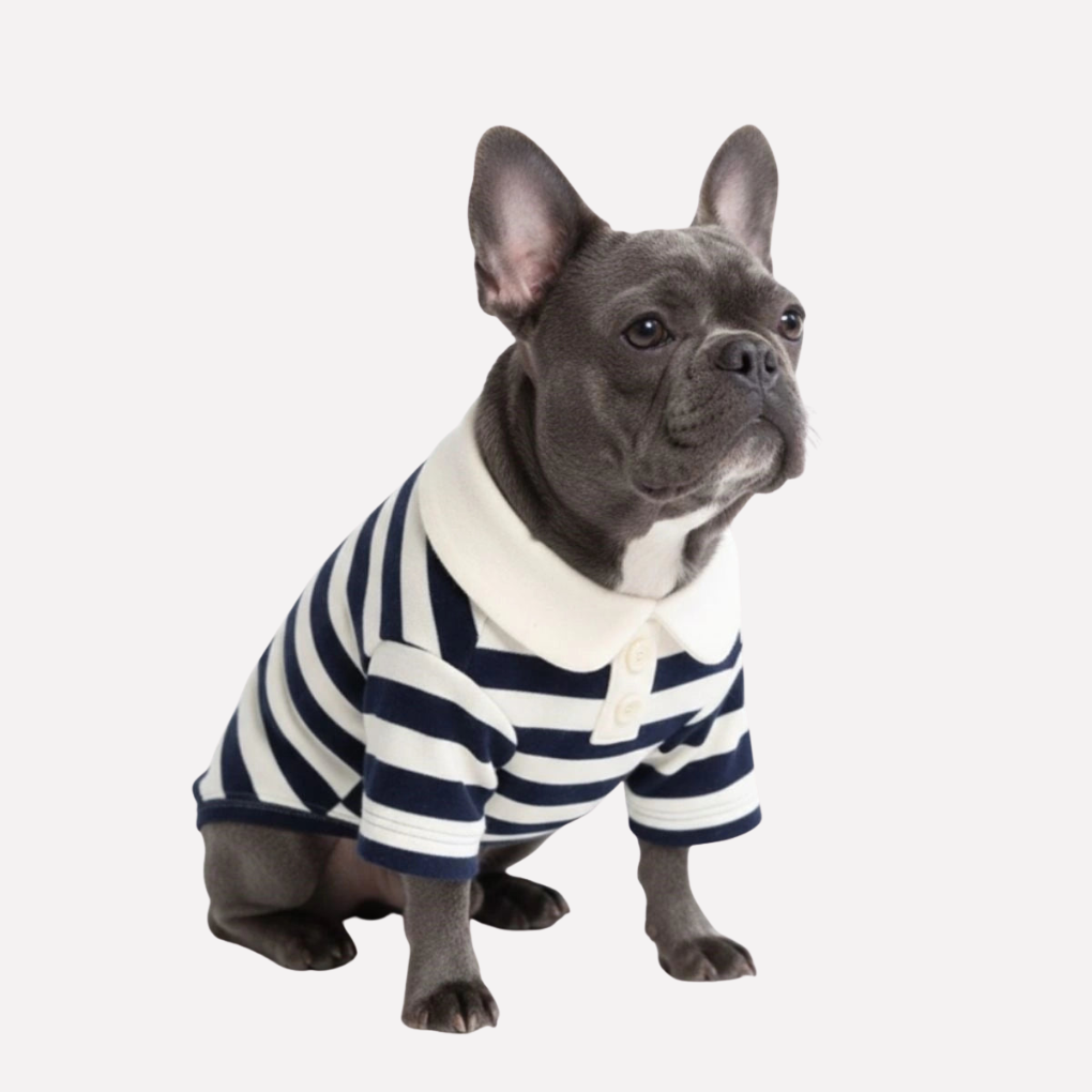 Traditional Breton Style Pet Polo Shirt
