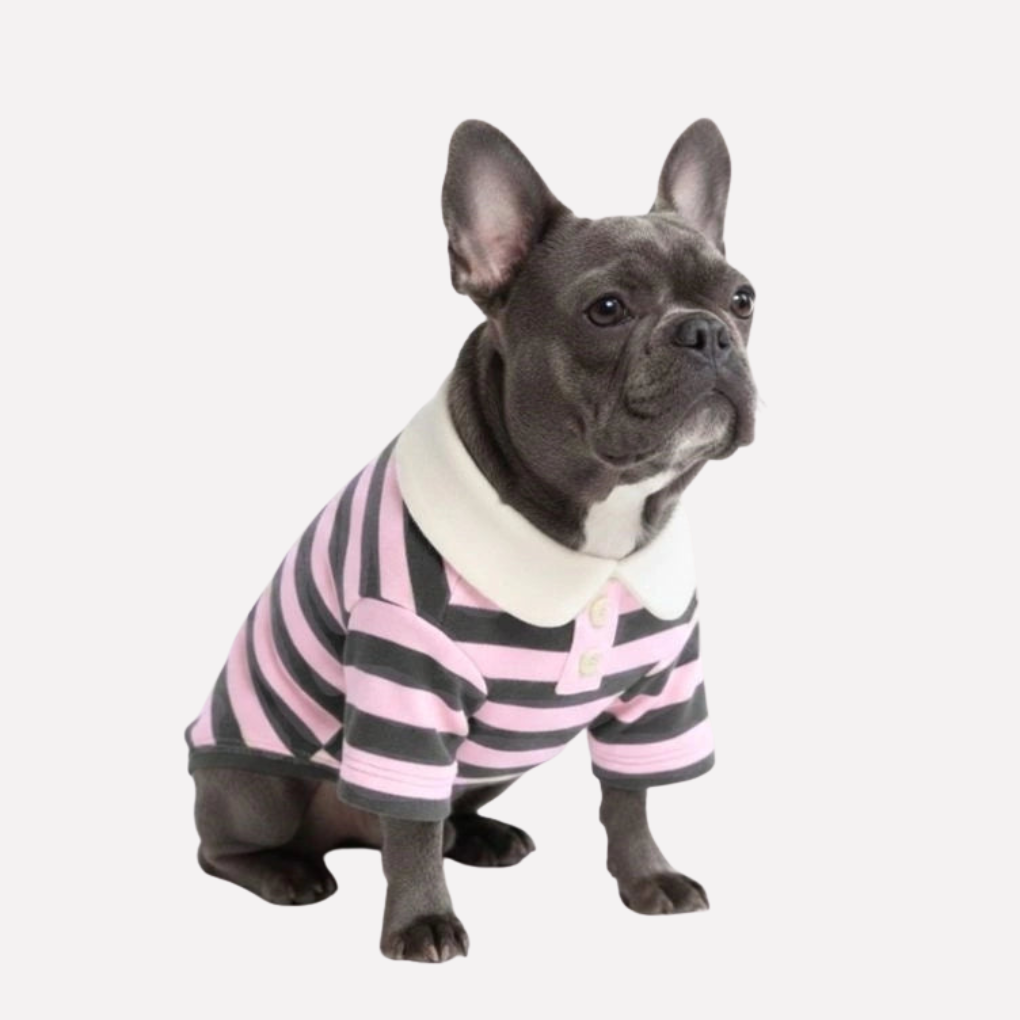 Traditional Breton Style Pet Polo Shirt