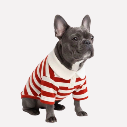 Traditional Breton Style Pet Polo Shirt