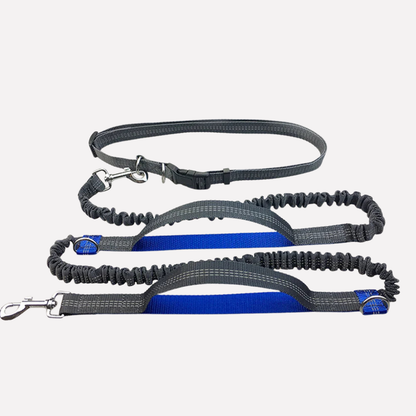 Easy Walk Dog Running Lead