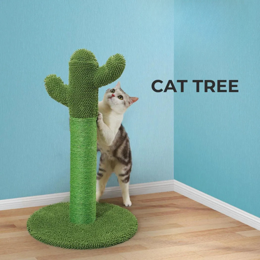 Fun Cat Climbing Cactus Tower