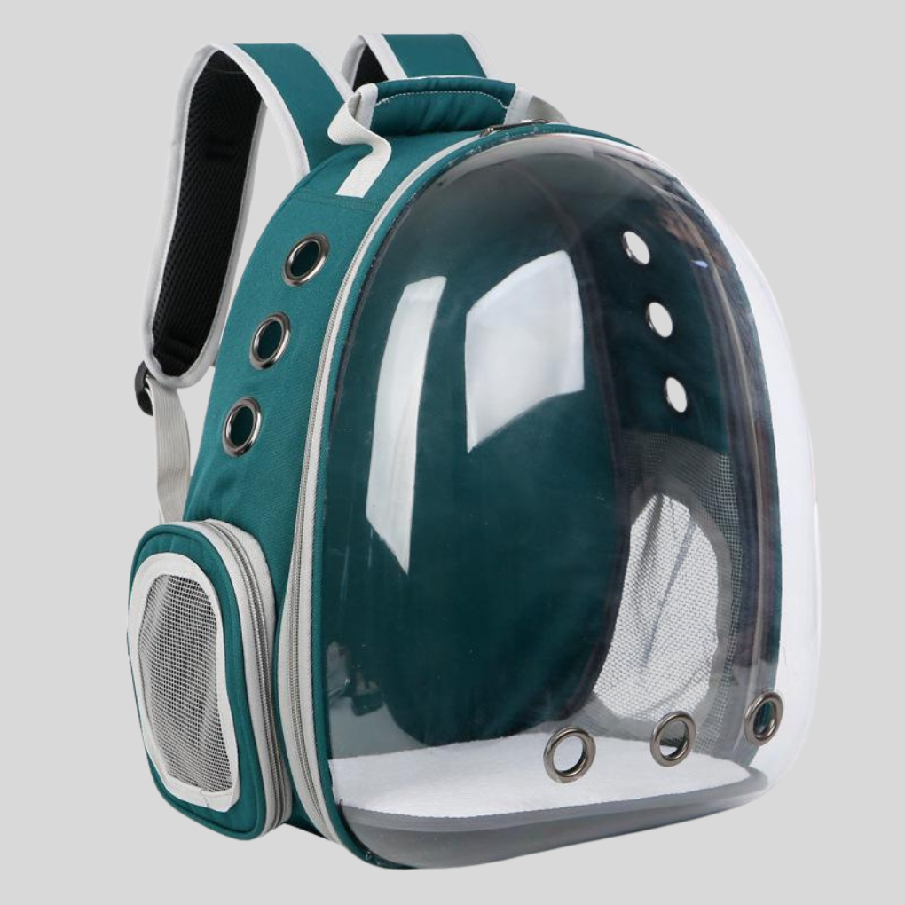 Pet Travel Hiking Backpack