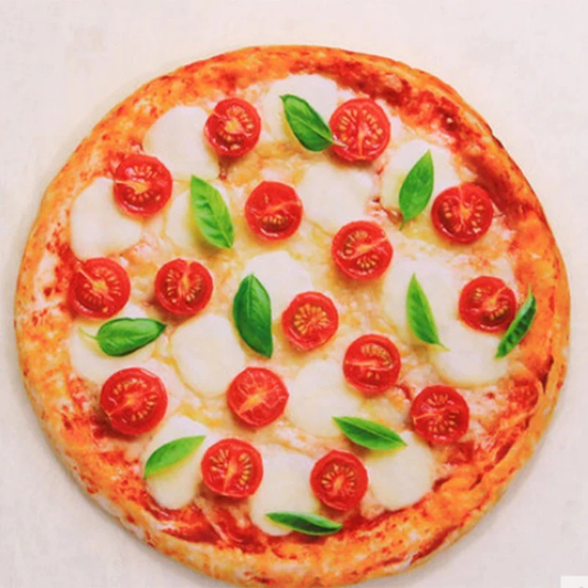 Soft Plush Pet Mat for Sleeping