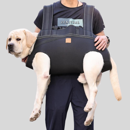 Practical Pet Travel Backpack