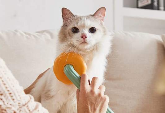 Detangling Hair Comb Brush