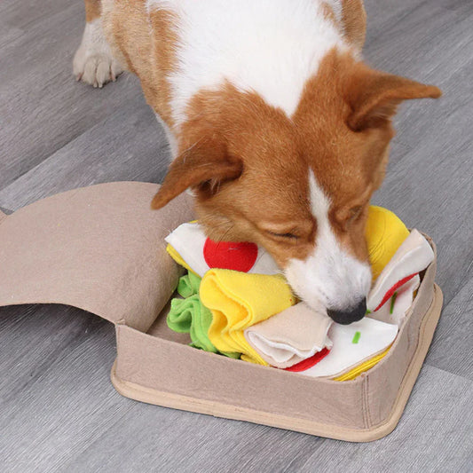 Fun Interactive Pet Dog Toys