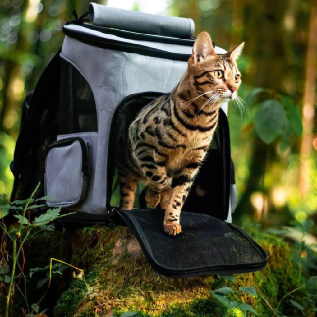 Pet Carrier Backpack for Safe Travel