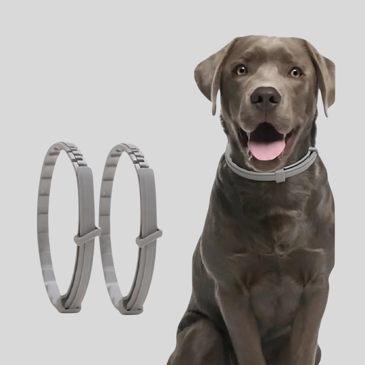 Flea Repellent Pet Collar for Dogs