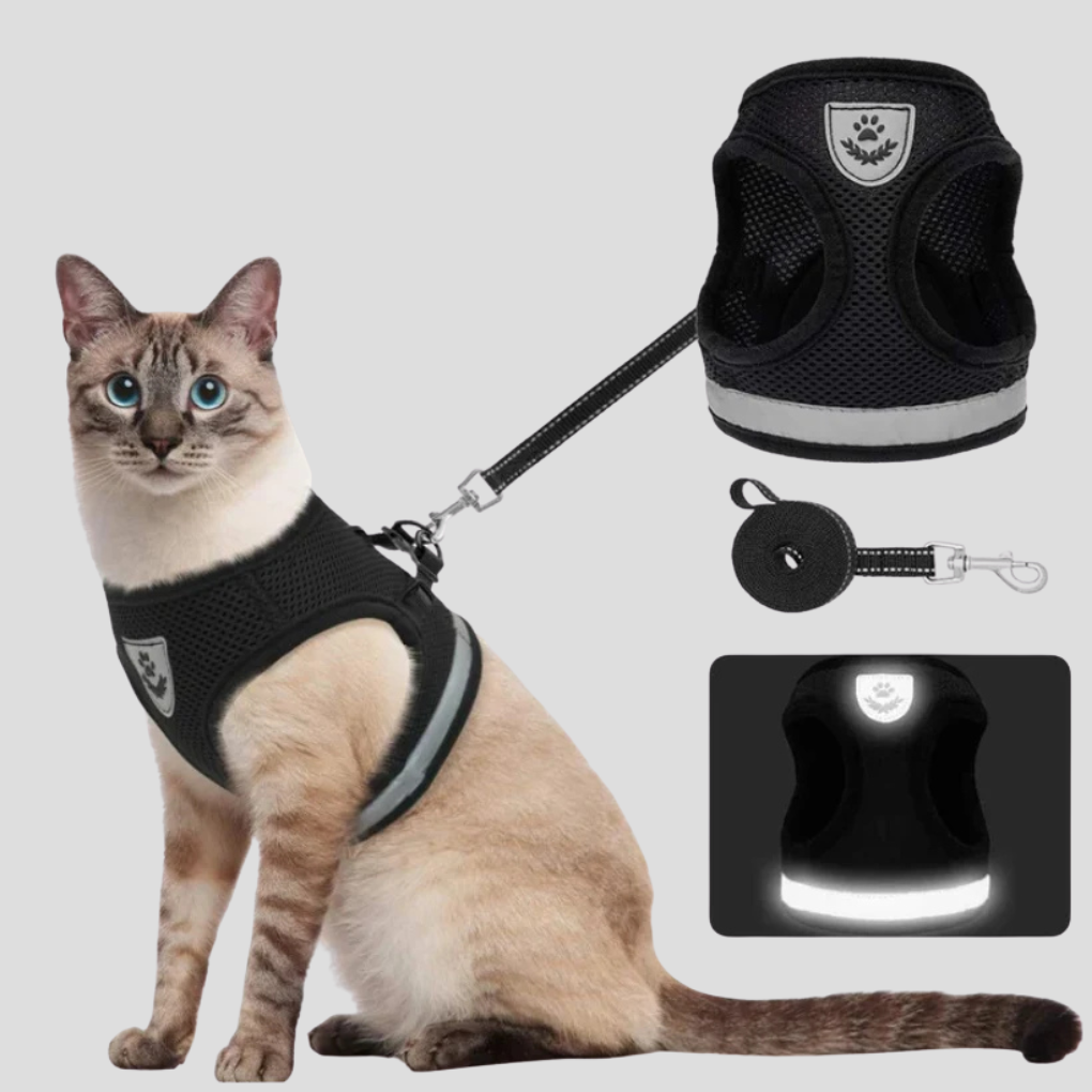 Kitten Walking Vest with Lead Set
