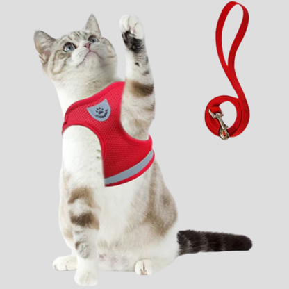 Kitten Walking Vest with Lead Set