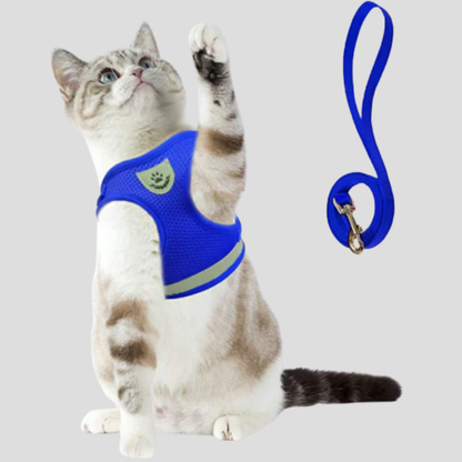 Kitten Walking Vest with Lead Set