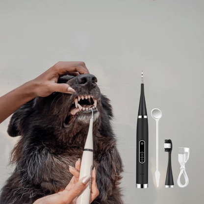 Complete Heavy Duty Brush Set