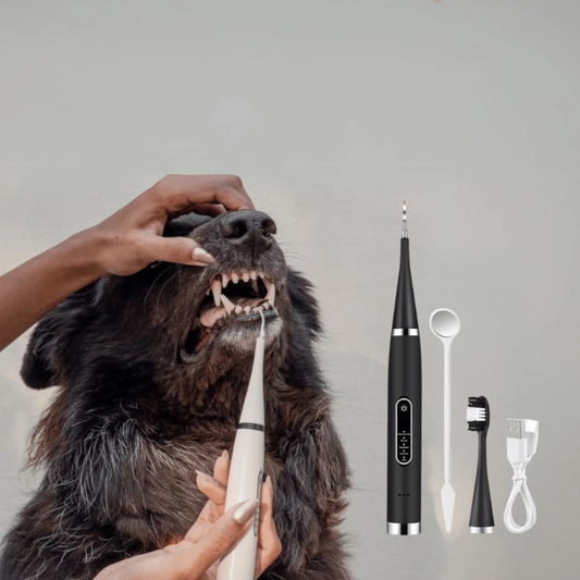 Complete Heavy Duty Brush Set