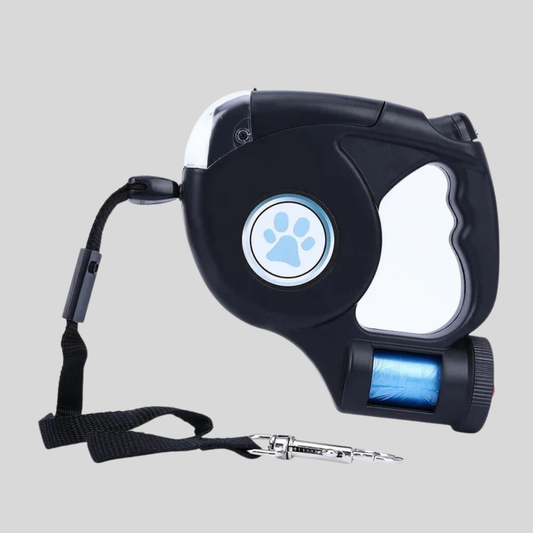 Night Walk Dog Leash with Built-in Flashlight