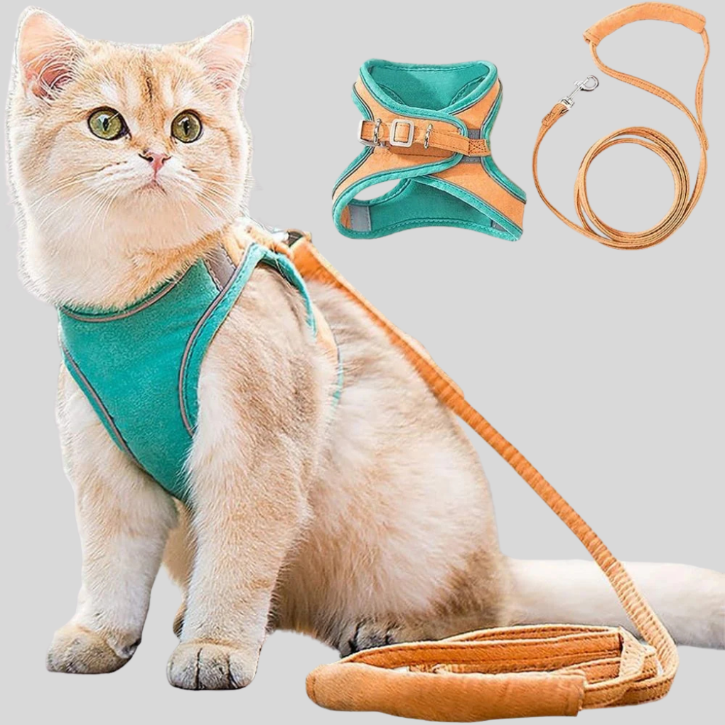 Pet Kitten Walking Harness Set