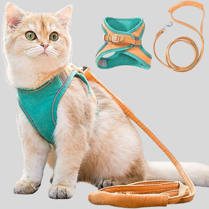 Pet Kitten Walking Harness Set