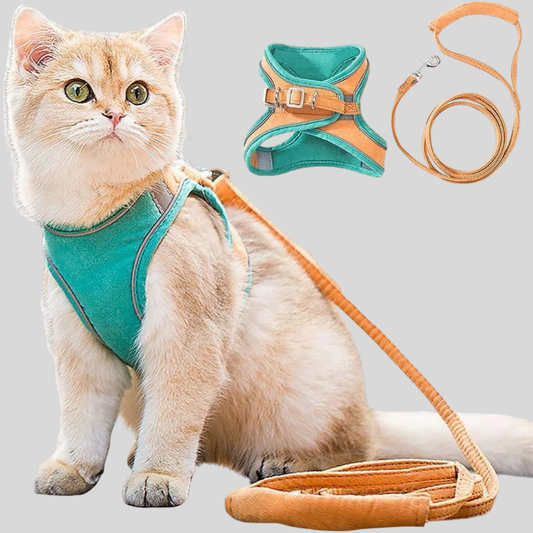 Pet Kitten Walking Harness Set